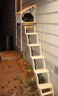 Image result for Free Plans Outdoor Cat Ladder