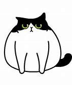 Image result for Smiley Cat On Wcue