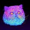 Image result for Space Cat Muse
