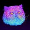 Image result for Galactic Eye Cat