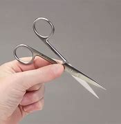 Image result for Blunt Surgical Scissors
