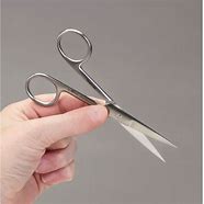 Image result for Stainless Steel Sharp Scissors