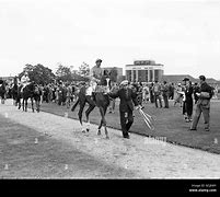 Image result for British Horse Racing