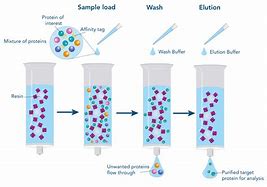 Image result for Protein Purification Using iMac Principle