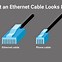 Image result for Use of Ethernet Cable