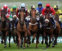Image result for Pic of Racing Horse of Wallpaper