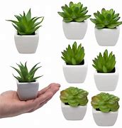Image result for Fake Pot Plants