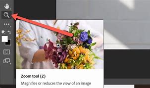 Image result for Zoom in and Out