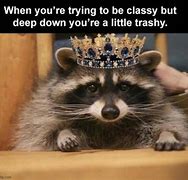 Image result for Crab Raccoon Meme