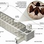 Image result for Atricial Bats