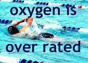 Image result for Funny Swimming