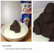 Image result for Melting Chocolate Gorilla Meme