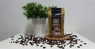 Image result for Civet Coffee