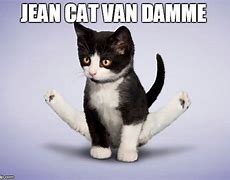 Image result for Jean-Claude Van Kitty Meme