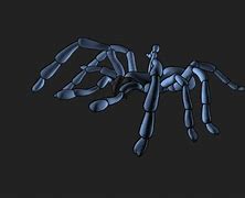 Image result for Spider Insect Cartoon