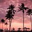 Image result for Free Beach iPhone Wallpaper