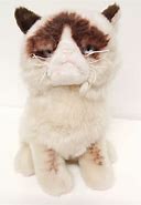 Image result for Sad Cat Plushie