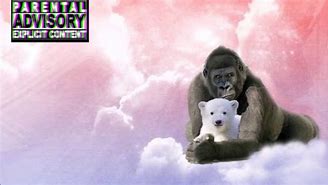 Image result for Harambe Monkey