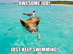 Image result for Awesome Job Funny Meme