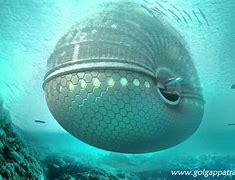 Image result for Underwater Hotel China