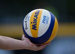 Image result for Volleyball