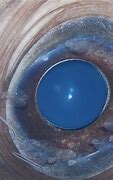 Image result for Fish Parasites