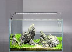 Image result for Aquarium LED Light for Planted Tank