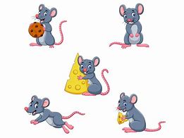 Image result for Mouse Cartoon Illustration