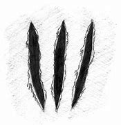 Image result for Wolferaine Claw Marks