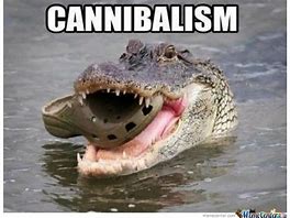 Image result for Funny Crocodile Memes