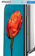 Image result for iPhone 11 Photo Samples