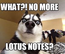 Image result for Lotus Notes Meme
