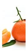 Image result for Greenish Orange Mandarin