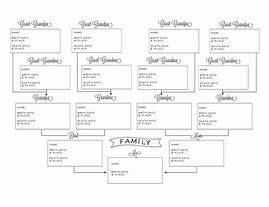 Image result for Free Pedigree Template