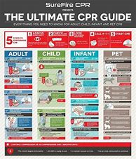 Image result for CPR Cheat Sheet for Adult and Child