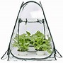 Image result for Home Food Greenhouse