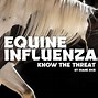 Image result for Equine Influenza in Horses