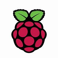 Image result for Raspberry Pi Icon