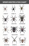 Image result for USA Spider Chart