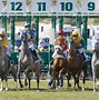 Image result for horse racing pick 5