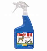 Image result for Natural Squirrel Repellent Spray