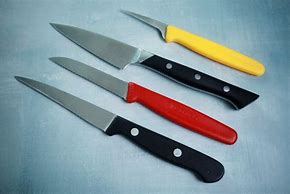 Image result for Small Narrow Paring Knife