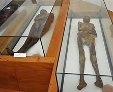Image result for Cappuccio Italy Mummies