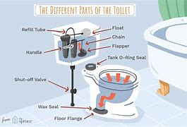 Image result for Toilet Tank Backflow Diagram