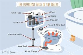 Image result for Inside of a Toilet Bowl