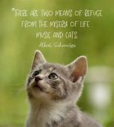 Image result for Famous Quotes About Cats