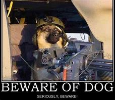 Image result for Funny Army Animal