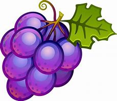 Image result for 4 Grapes Clip Art