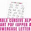 Image result for Cursive Upper and Lower Letters