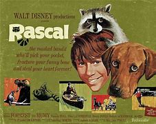 Image result for rascal